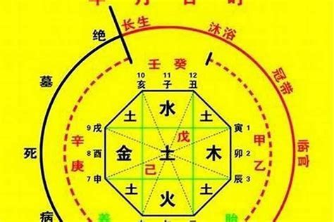 八字五行比例|中華命理大街